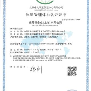 CN ISO 9001 2015